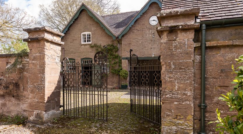 Photo of Swifts & Swallows