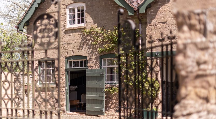 Photo of Swifts & Swallows