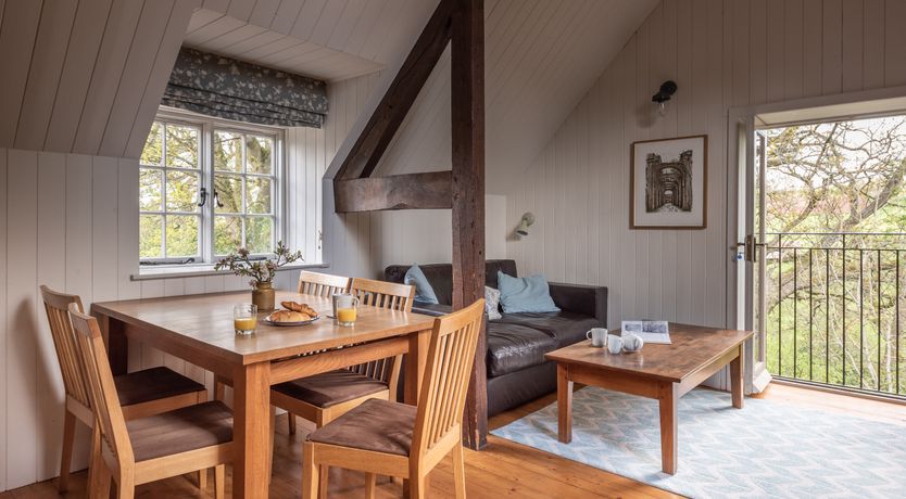 Photo of Swifts & Swallows