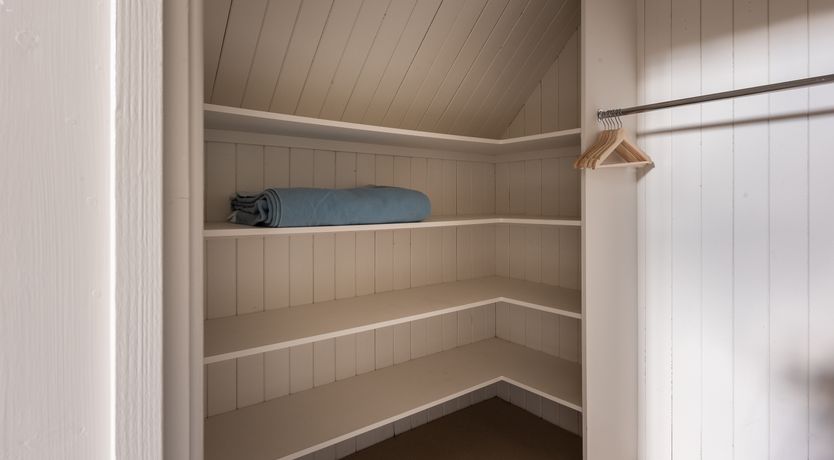 Photo of Swifts & Swallows