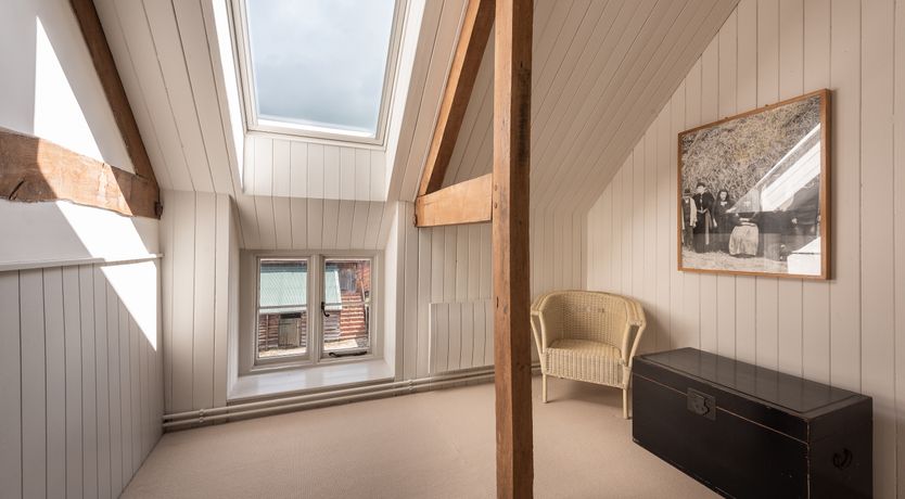 Photo of Swifts & Swallows