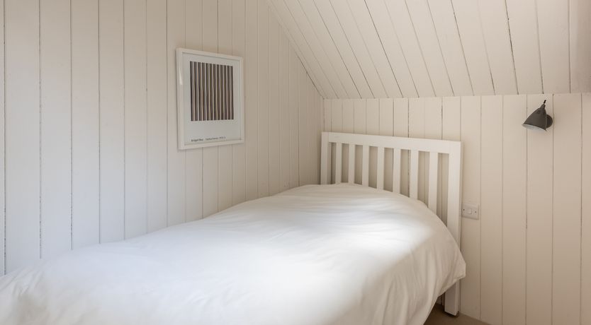 Photo of Swifts & Swallows