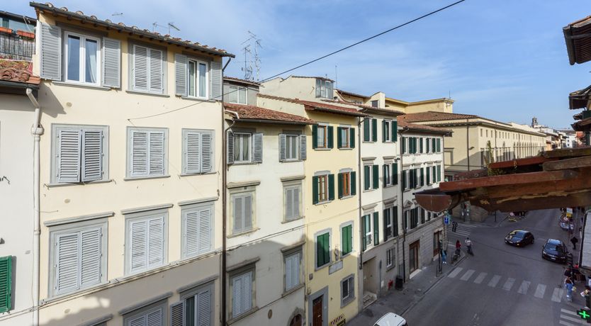 Photo of Renaissance Muse