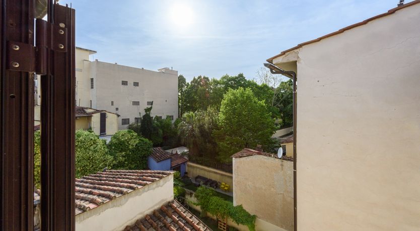 Photo of Renaissance Muse