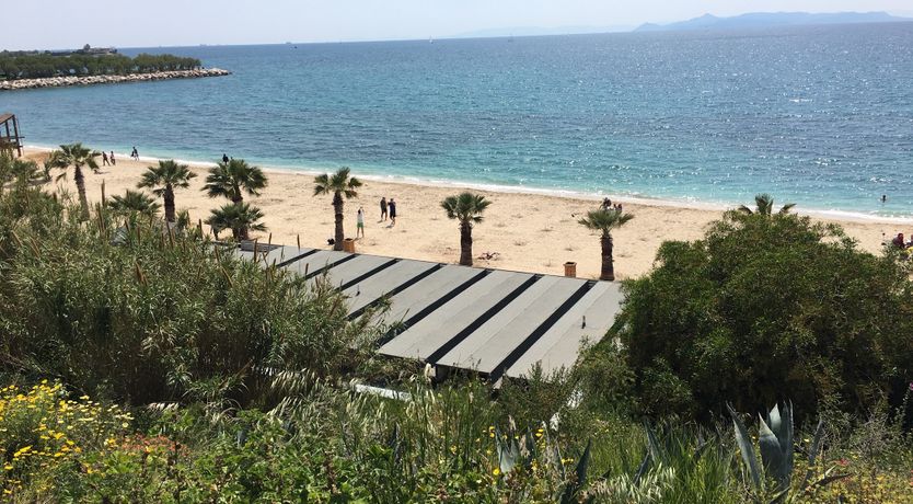 Photo of On A Bluebird's Wing