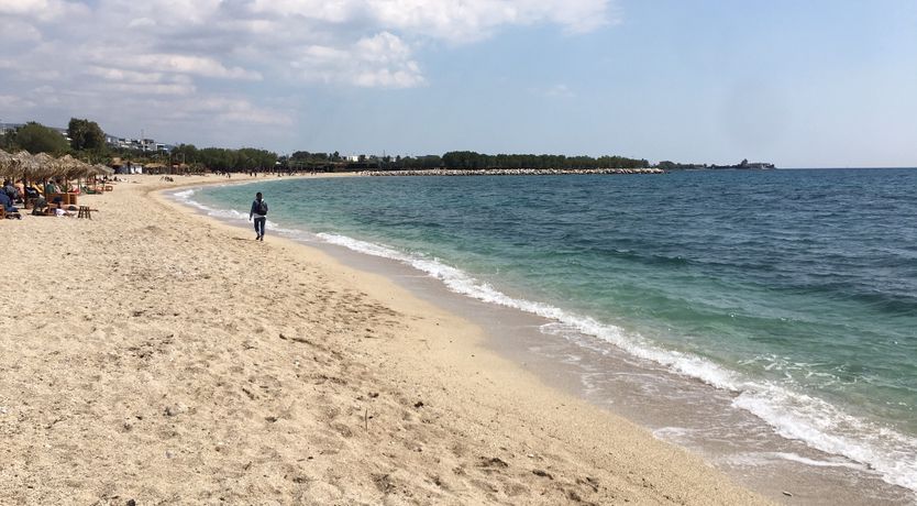 Photo of On A Bluebird's Wing