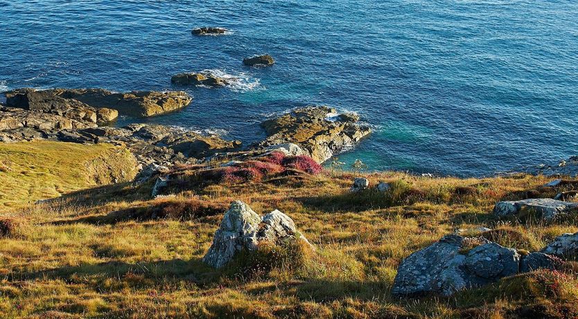 Photo of A Beacon Of Light