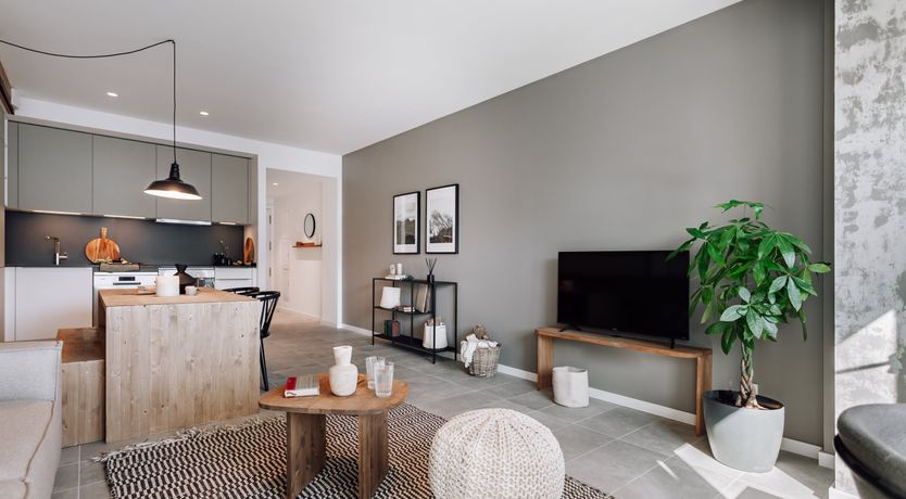 Photo of The Flamenco Rug