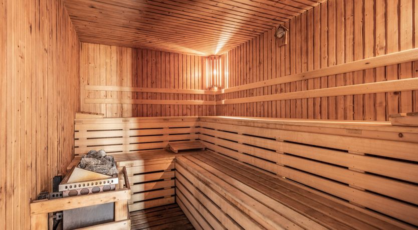 Photo of Goya's Shadow