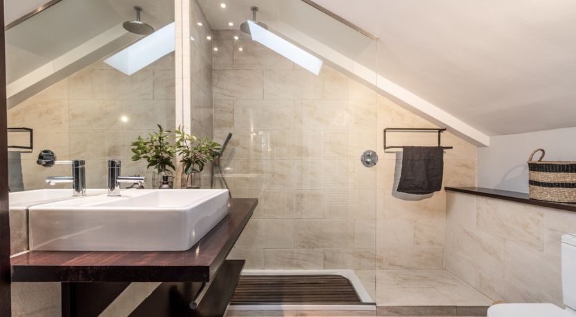 Photo of Goya's Shadow