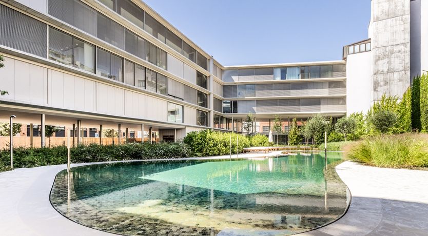 Photo of The Light That I Need