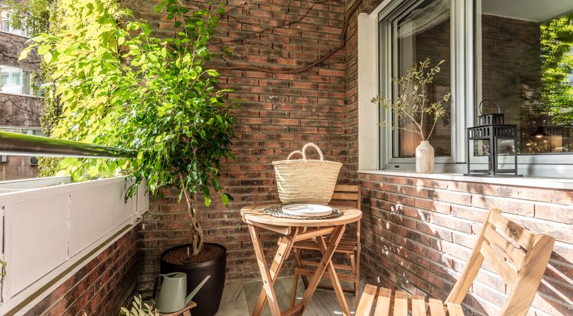 Photo of Pampas & Bloom