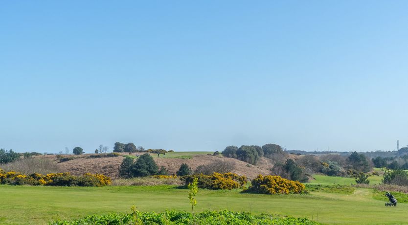 Photo of The Naval Captain