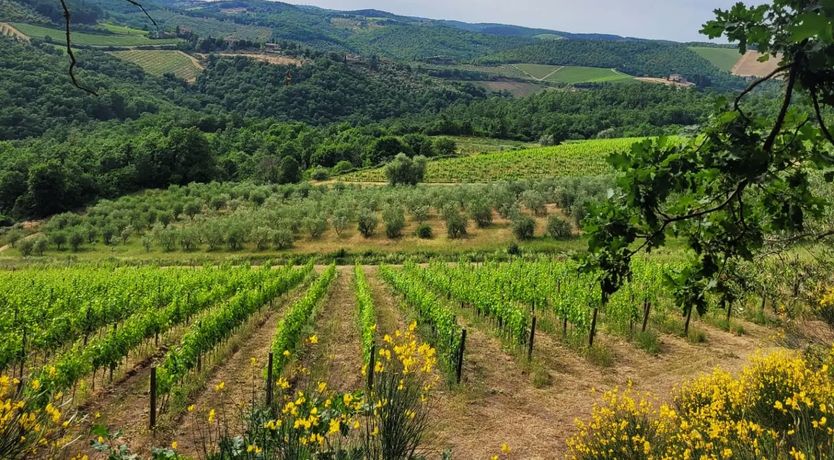 Photo of Chianti Sunset