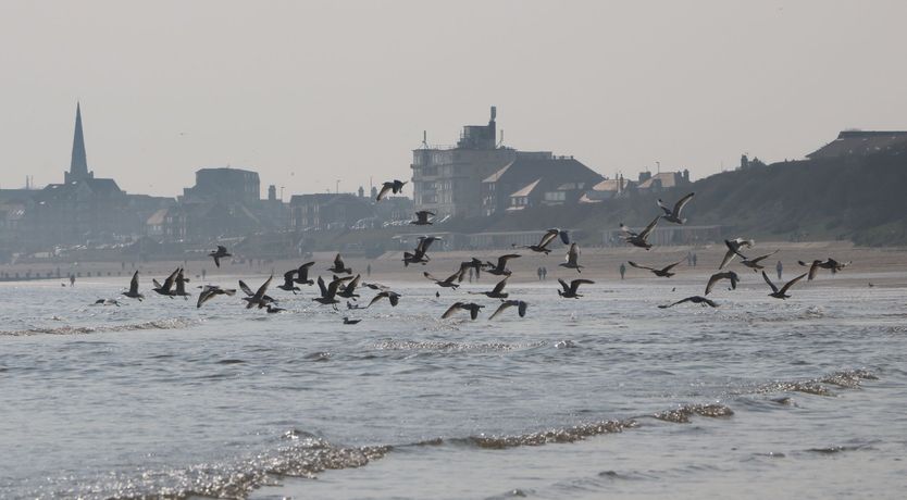 Photo of Apt 4 @ Hunter's Quay