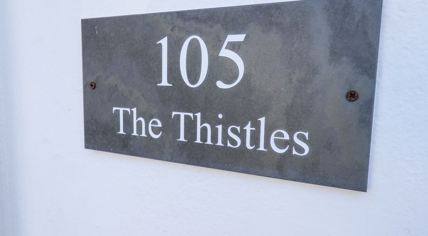Photo of The Thistles