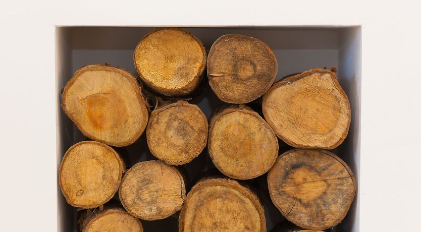 Photo of Avon Cottage