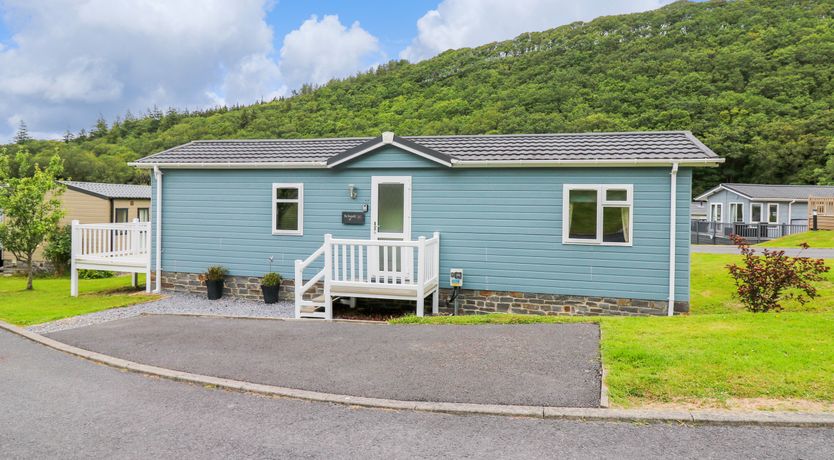 Photo of The Dragonfly