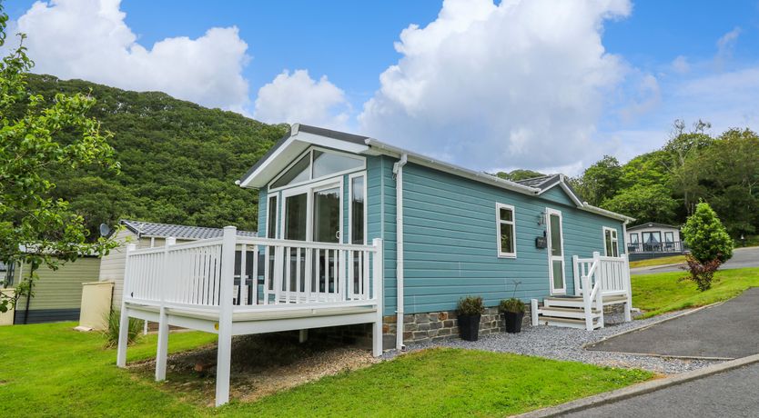 Photo of The Dragonfly