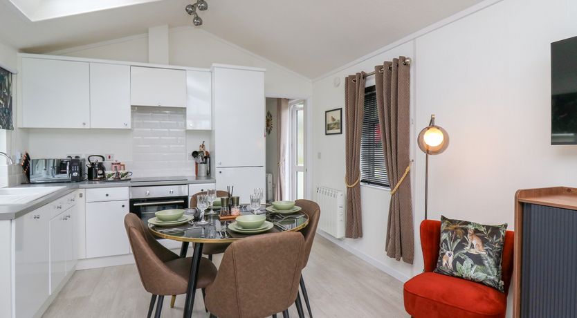 Photo of The Dragonfly