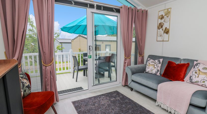 Photo of The Dragonfly