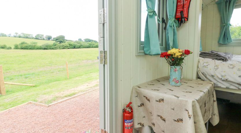 Photo of Cuckoo's Nest