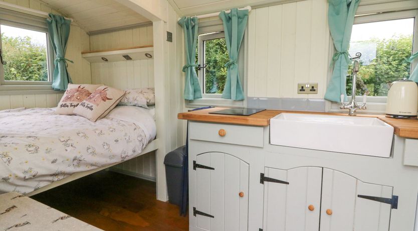 Photo of Cuckoo's Nest