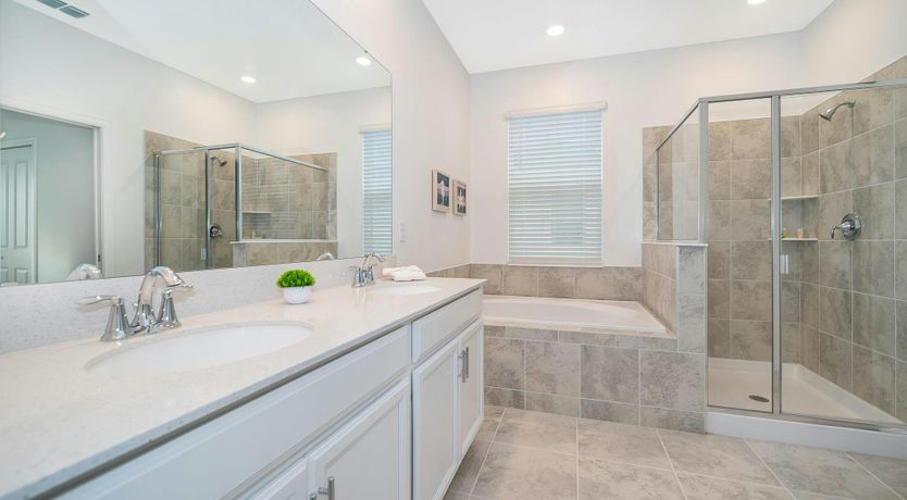 Photo of The New Beginning