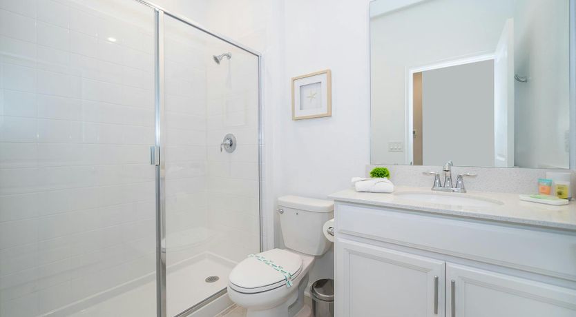 Photo of The New Beginning