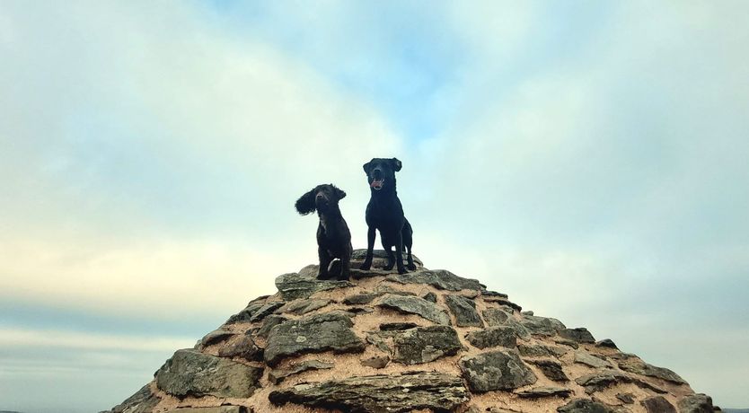 Photo of Monks Cleeve Bungalow, Exford