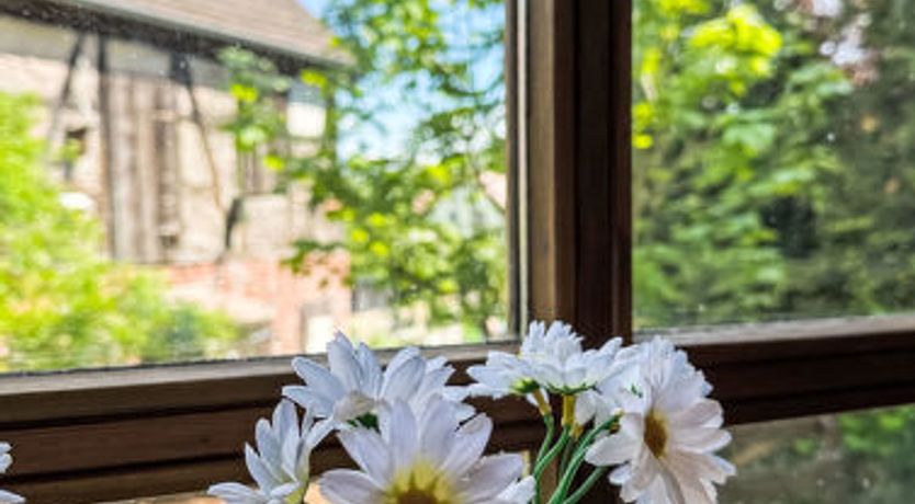 Photo of Das kleine Paradies von Kata