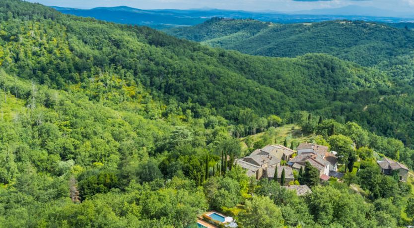 Photo of Il Cinghiale