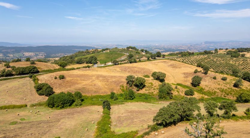 Photo of La terrazza sulla Maremma