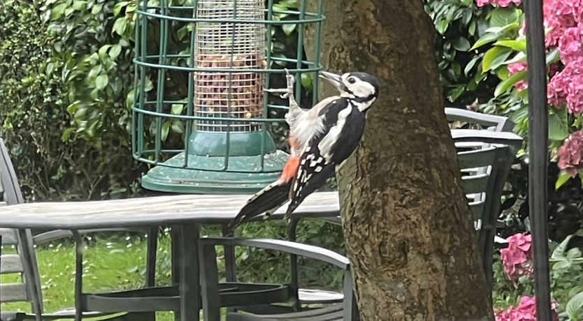 Photo of West Lynch Farm, Allerford
