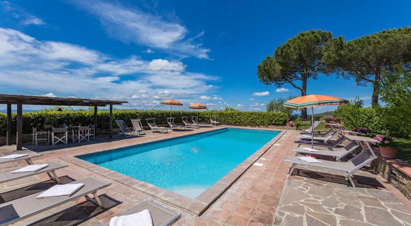 Photo of The Summer Harvest