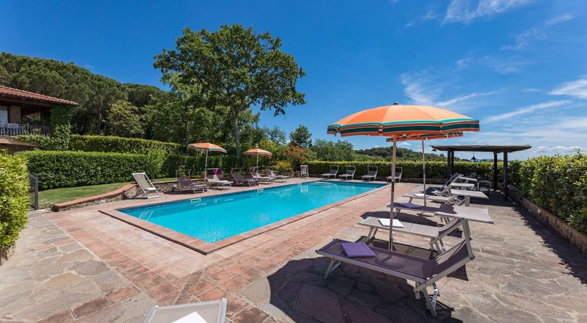 Photo of The Summer Harvest