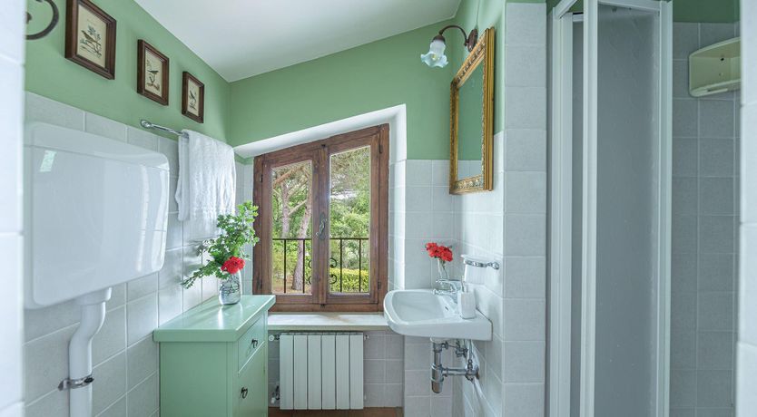 Photo of The Summer Harvest