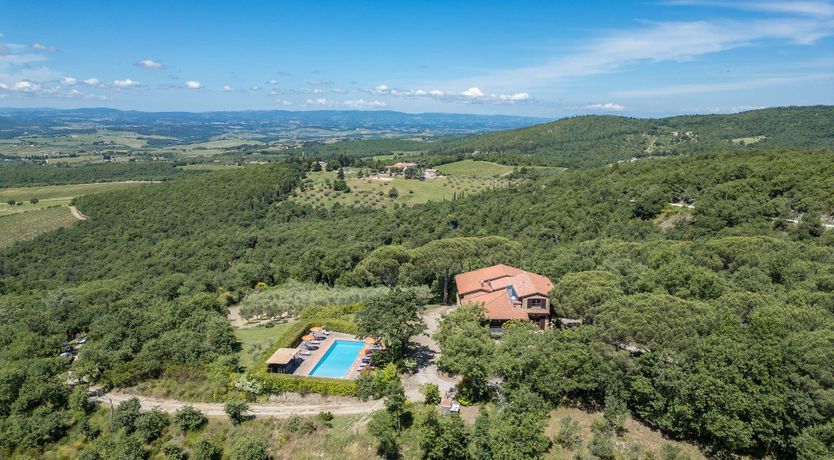 Photo of The Summer Harvest