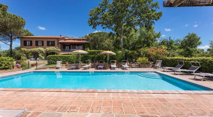 Photo of The Summer Harvest