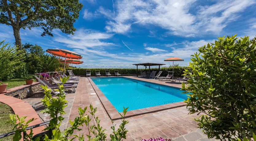 Photo of The Summer Harvest