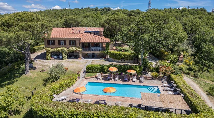 Photo of The Summer Harvest