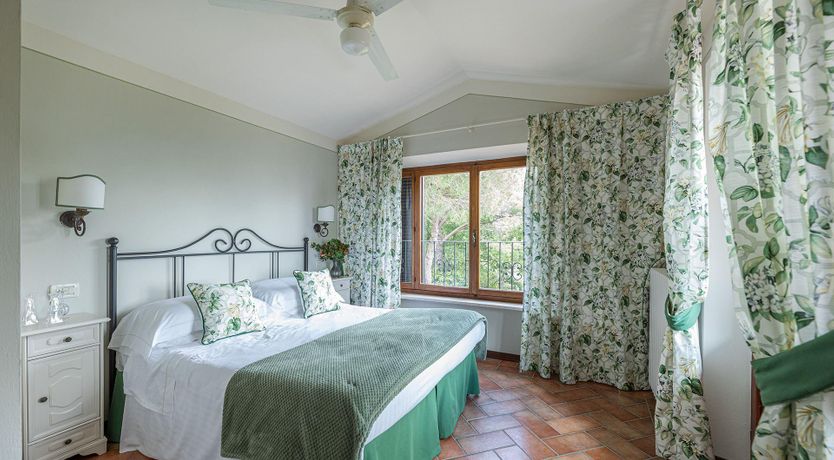 Photo of The Summer Harvest