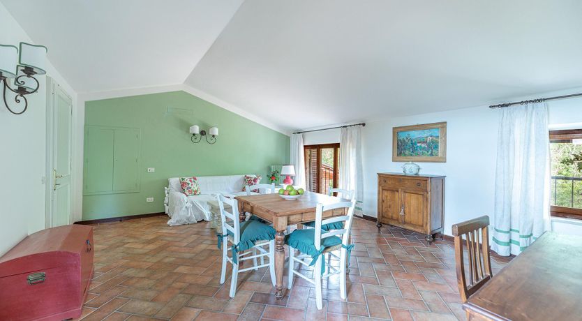 Photo of The Summer Harvest