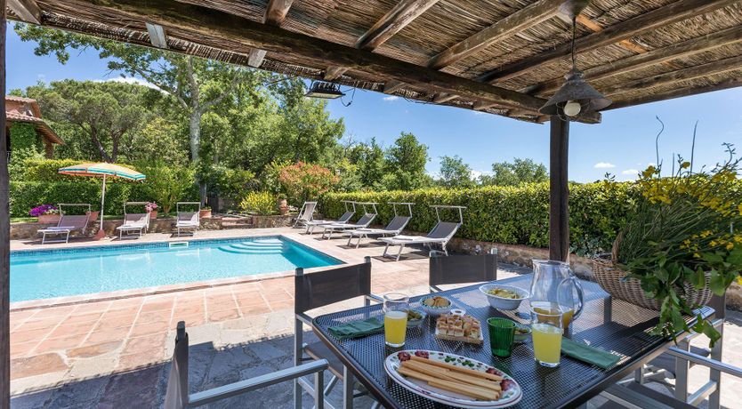 Photo of The Summer Harvest