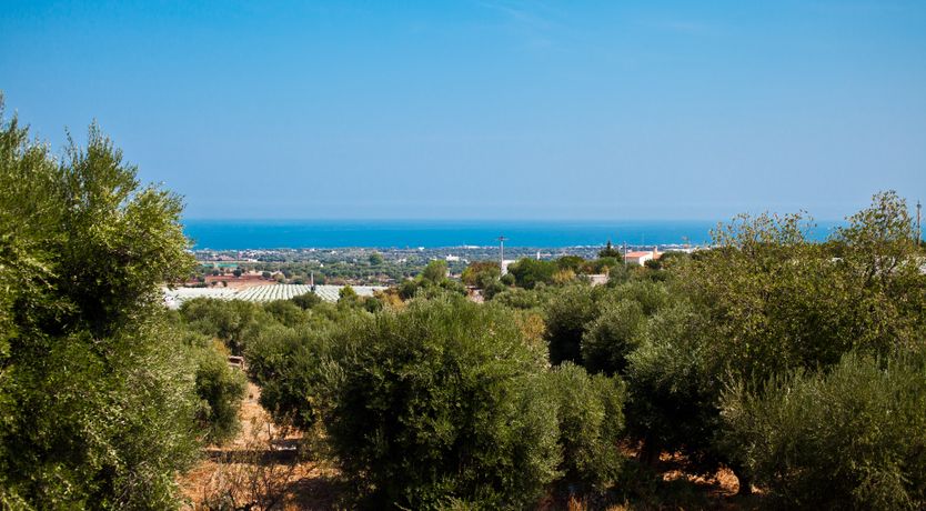 Photo of Polignano Pearl