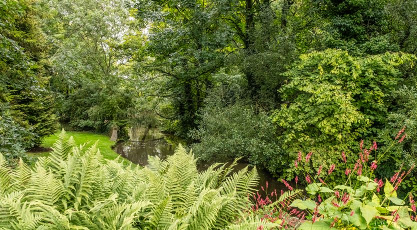 Photo of The Millstream