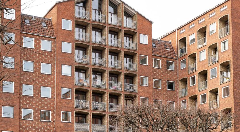 Photo of The Daily Essentials