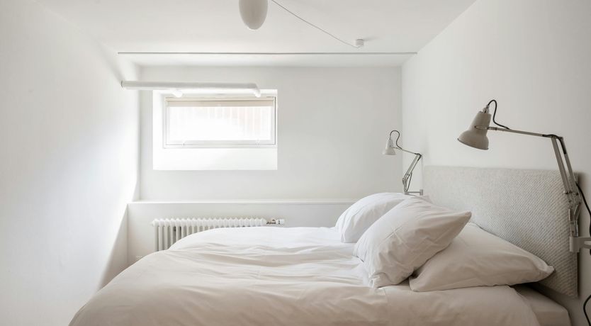 Photo of The Daily Essentials