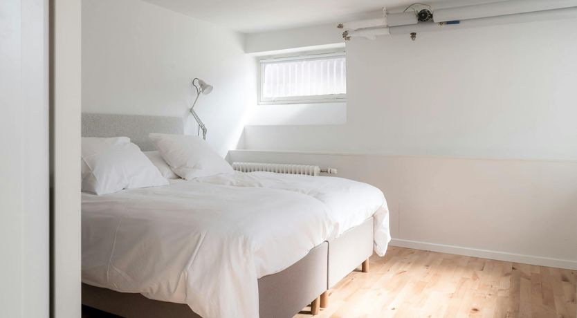 Photo of The Daily Essentials