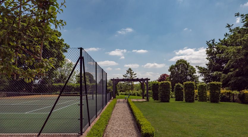 Photo of Light of Honey